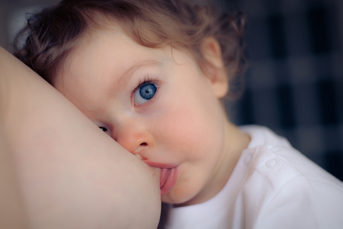 ������� �������������