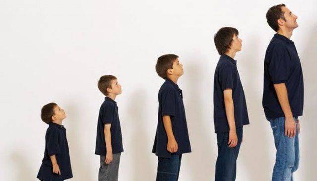 ������ �����