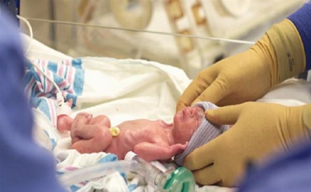 ������������ �������