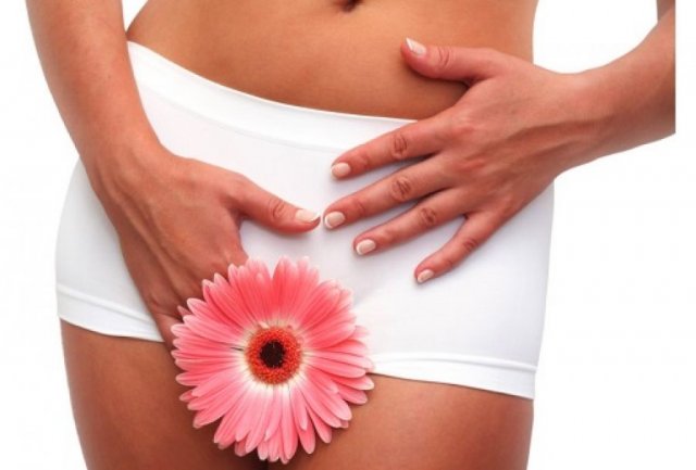 ��������, ���������