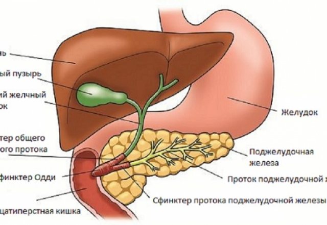 холицистит
