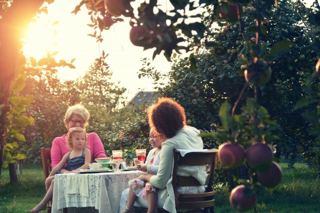 �������� � ����  � �������