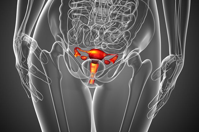 ����� ������� ��� ��������